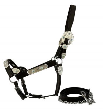 Horse size silver bar show halter with matching lead and iridescent stone accents, Dark Oil