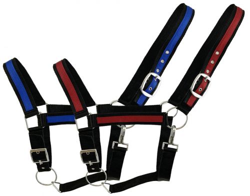 Shiloh Stables and Tack: Black Draft horse size nylon halter with ...