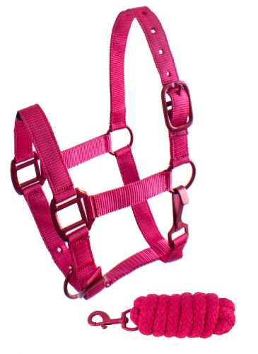 Showman Pony triple ply nylon halter and lead rope with matching powder coated hardware #2