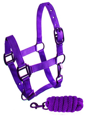Showman Pony triple ply nylon halter and lead rope with matching powder coated hardware #3
