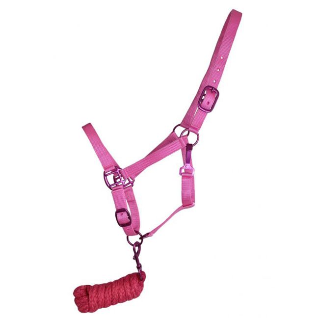 Showman Triple Ply Nylon Halter with Powder Coated Hardware - Yearling/Small Horse #2