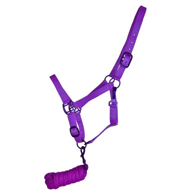 Showman Triple Ply Nylon Halter with Powder Coated Hardware - Yearling/Small Horse #3