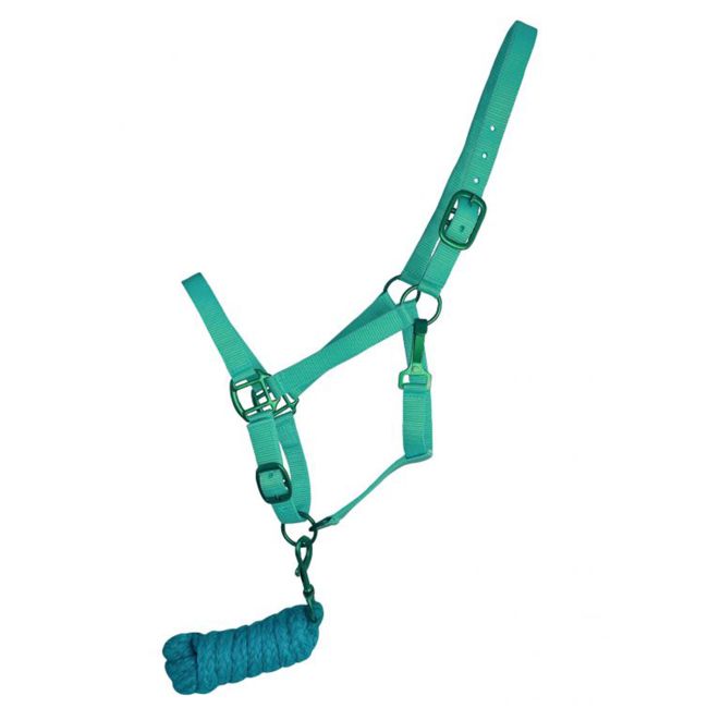Showman Triple Ply Nylon Halter with Powder Coated Hardware - Yearling/Small Horse #4