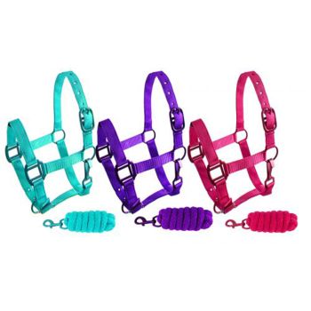 Showman Pony Triple Ply Nylon Halter with Powder Coated Hardware