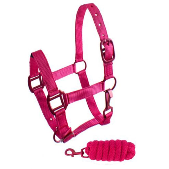 Showman Pony Triple Ply Nylon Halter with Powder Coated Hardware #2
