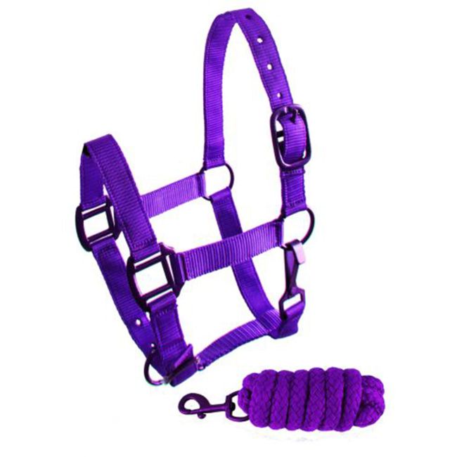 Showman Pony Triple Ply Nylon Halter with Powder Coated Hardware #3