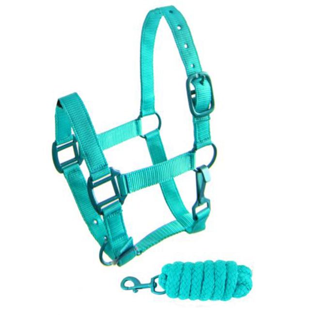 Showman Pony Triple Ply Nylon Halter with Powder Coated Hardware #4