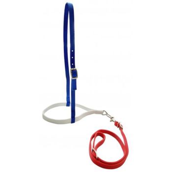 Showman Red, White, and Blue nylon noseband and tiedown