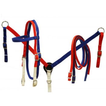Showman Red, white and blue nylon headstall and breast collar set