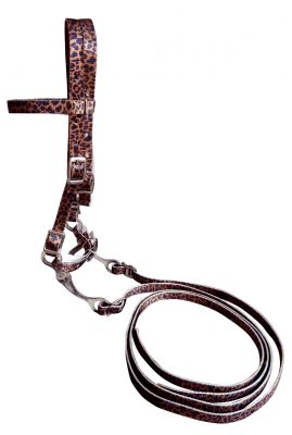 Showman Pony Size Premium nylon browband headstall &amp; Reins with bit in a cheetah print design