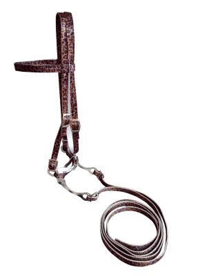 Showman Horse size Premium nylon browband headstall &amp; Reins with bit in a Cheetah print design