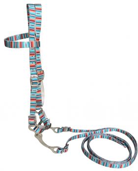 Showman PONY size Premium nylon browband headstall &amp; Reins with bit with a Serape print design