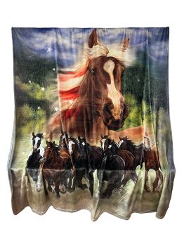 Queen Size Silk Touch Ultra Soft Blanket - Patriotic Stomp