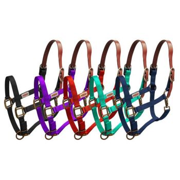Showman Premium Nylon Breakaway Halter
