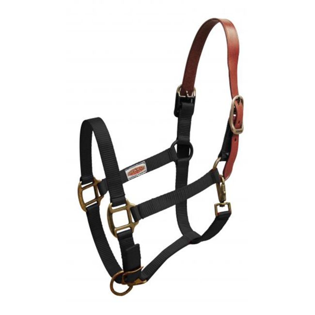 Showman Premium Nylon Breakaway Halter #2