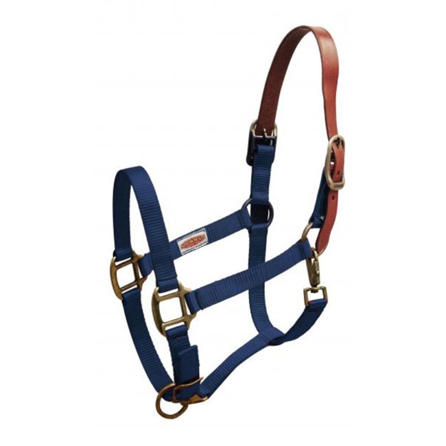 Showman Premium Nylon Breakaway Halter #3
