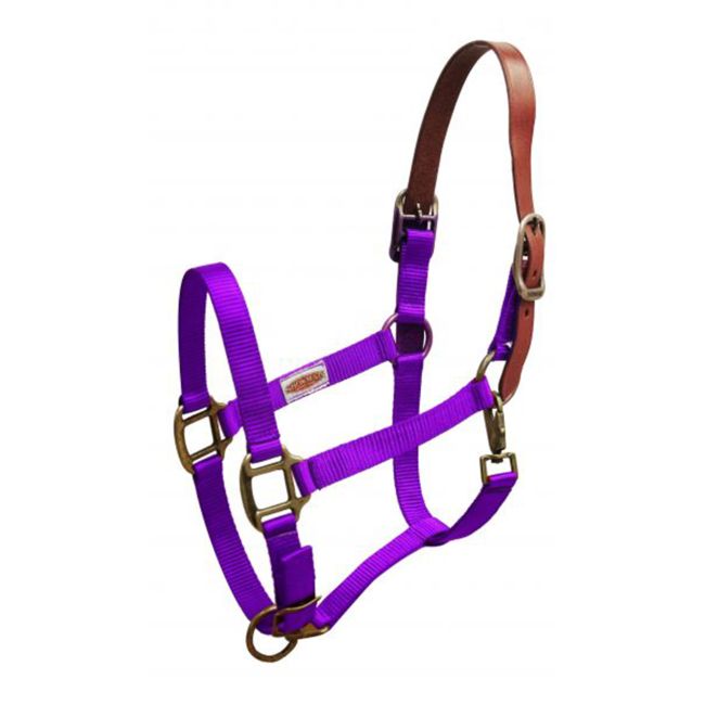 Showman Premium Nylon Breakaway Halter #4