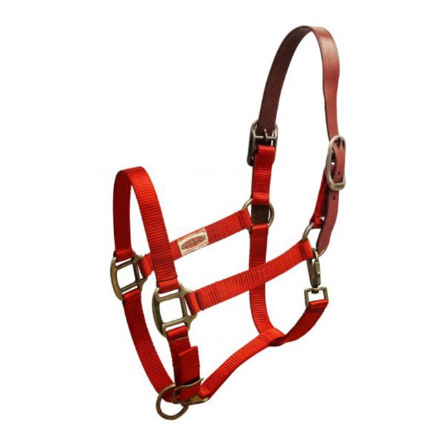 Showman Premium Nylon Breakaway Halter #5