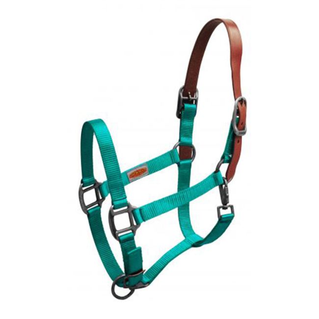 Showman Premium Nylon Breakaway Halter #6