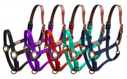 Showman Premium nylon Breakaway halter