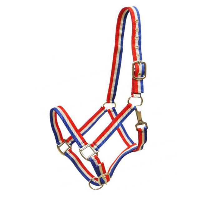 Showman Red, White and Blue Striped Nylon Halter