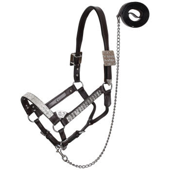Showman Silver Floral Leather Show Halter with Lead - Average