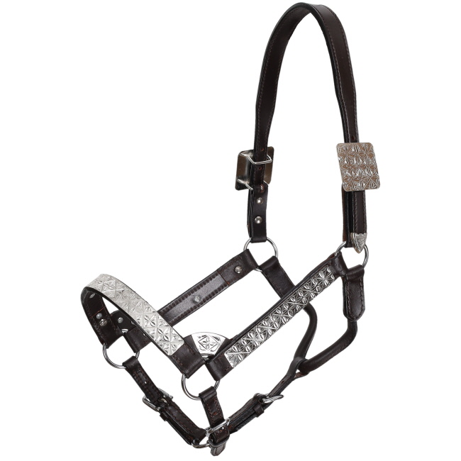 Showman Silver Floral Leather Show Halter with Lead - Average #2