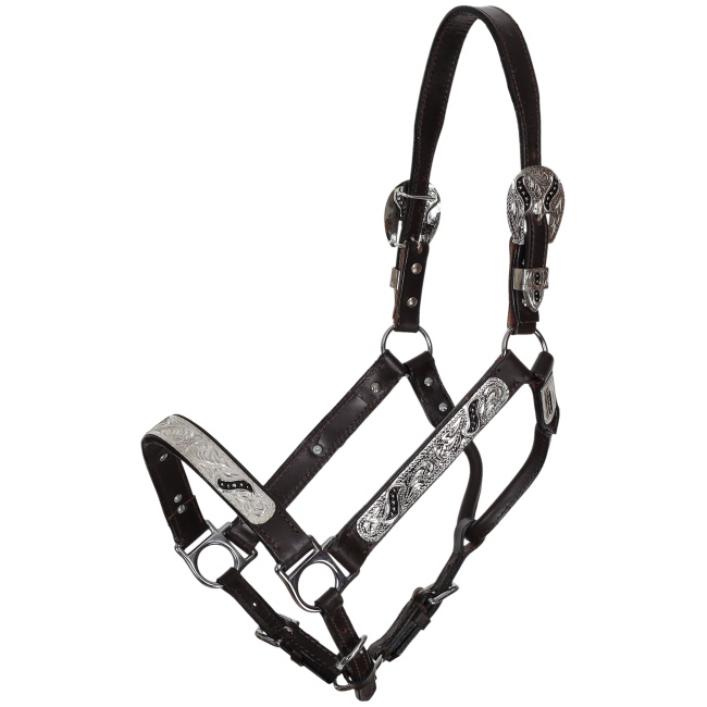Showman Silver & Black Scroll Leather Show Halter with Lead - Average #2
