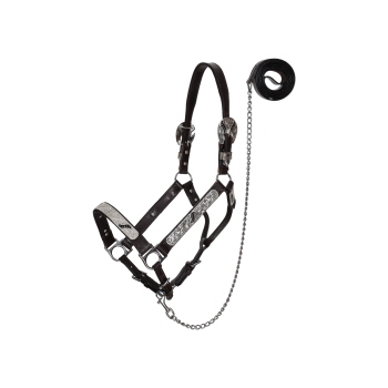 Showman Silver & Black Scroll Leather Show Halter with Lead - Mini