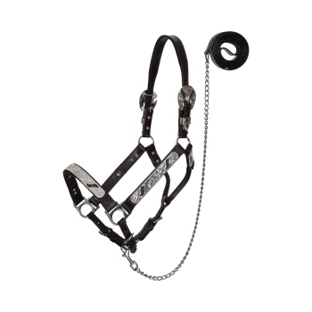 Showman Silver & Black Scroll Leather Show Halter with Lead - Yearling
