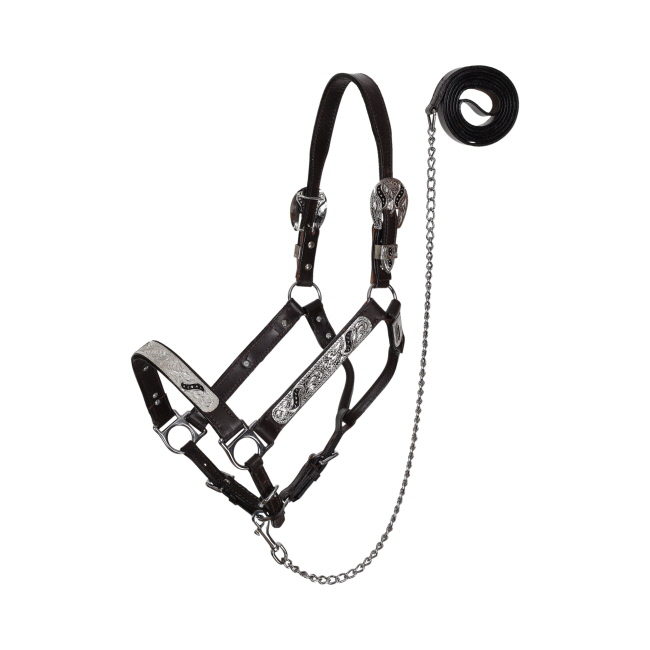 Showman Silver & Black Scroll Leather Show Halter with Lead - Yearling
