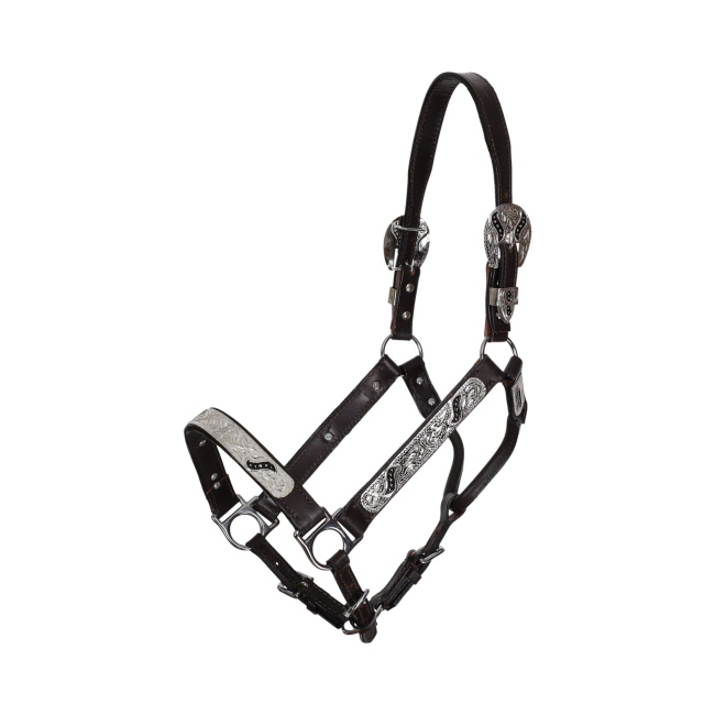 Showman Silver & Black Scroll Leather Show Halter with Lead - Yearling #2