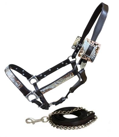 Showman Dark Oil Average Horse size leather double stitched silver bar with gold accents show halter