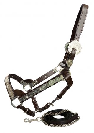 Showman Dark Oil Average Horse size leather double stitched silver bar show halter