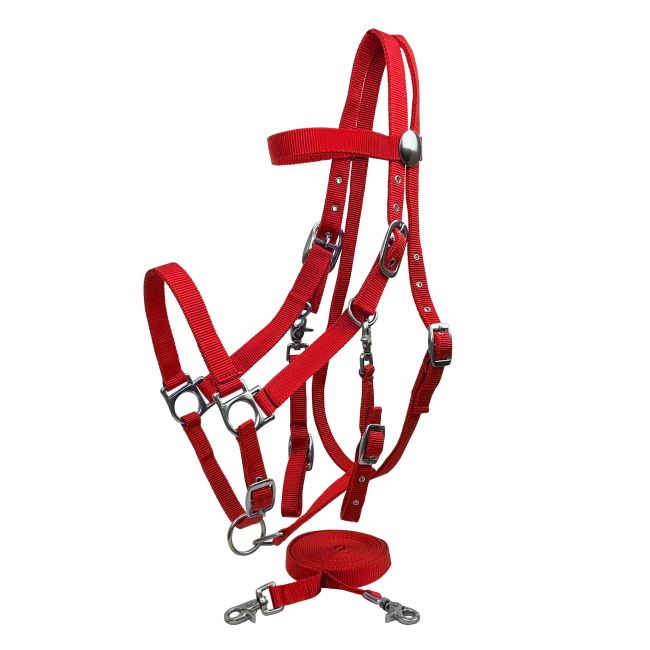 Nylon Combination Halter-Bridle with Reins #7