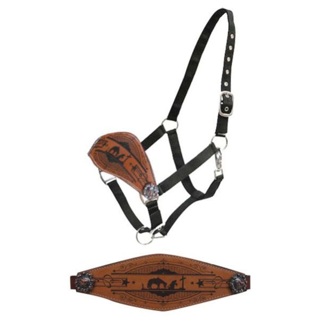 Showman Praying Cowboy Bronc Nose Halter