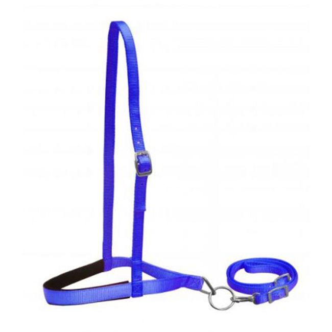 Showman Pony Size Premium Nylon Tie Down #3