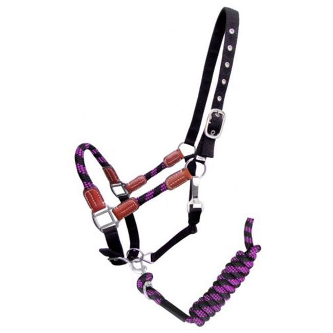 Showman Nylon Halter with Matching Lead Rope #4