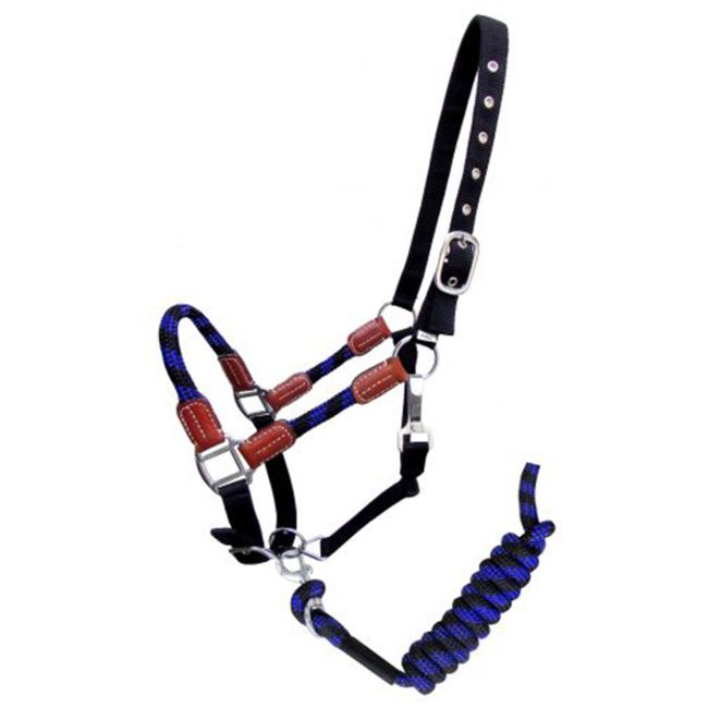 Showman Nylon Halter with Matching Lead Rope #2