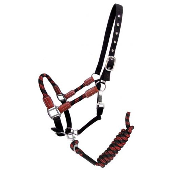 Showman Nylon Halter with Matching Lead Rope #6