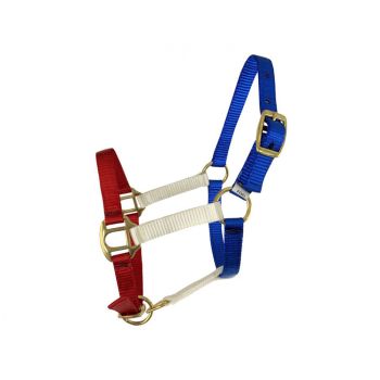 Showman Red, White, and Blue nylon halter with brass hardware. FOAL/MINI SIZE
