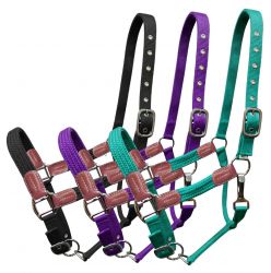 Showman Nylon halter with leather accents