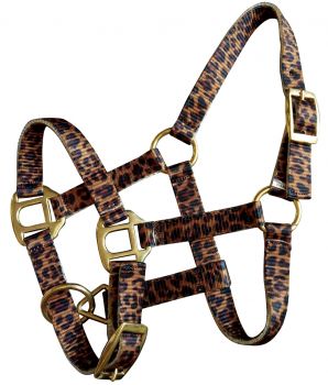 Showman Premium nylon cheetah halter with brass hardware. FOAL&#47;MINI SIZE