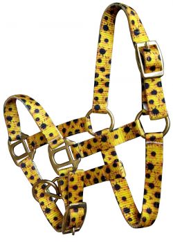 Showman Premium nylon Sunflower Print halter with brass hardware. FOAL&#47;MINI SIZE