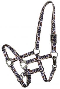 Showman Premium Nylon Horse Sized Halter with python print design