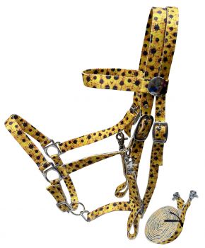 Showman Sunflower Premium Nylon combination halter bridle with reins