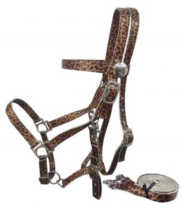 Showman HALTER BRIDLE COMBINATION with Reins Leather Made in USA 