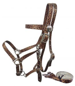 Showman Cheetah Premium Nylon combination halter bridle with reins