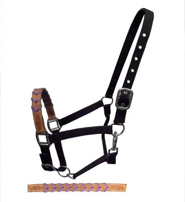 Showman Black Nylon halter with Argentina cow leather braided accent nose #4