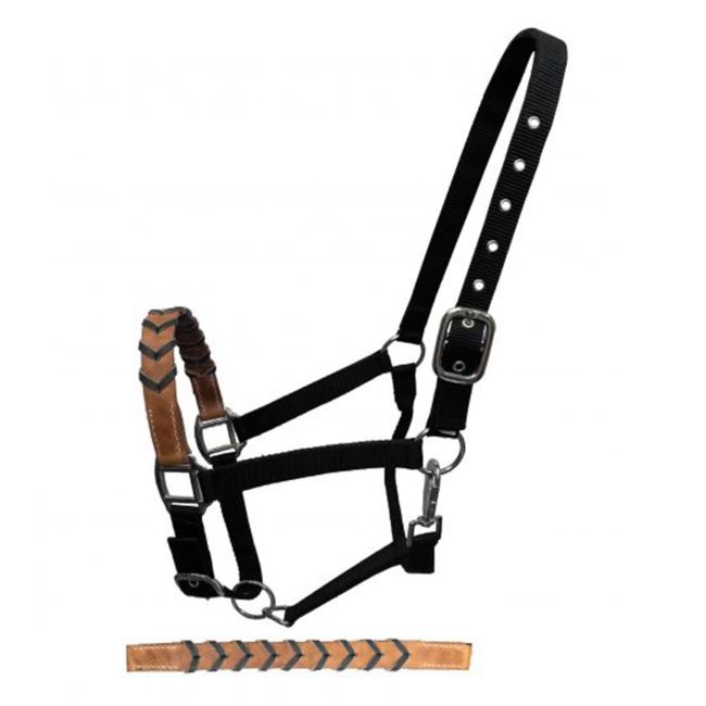 Showman Black Nylon Halter with Argentina Cow Leather Braided Nose #2